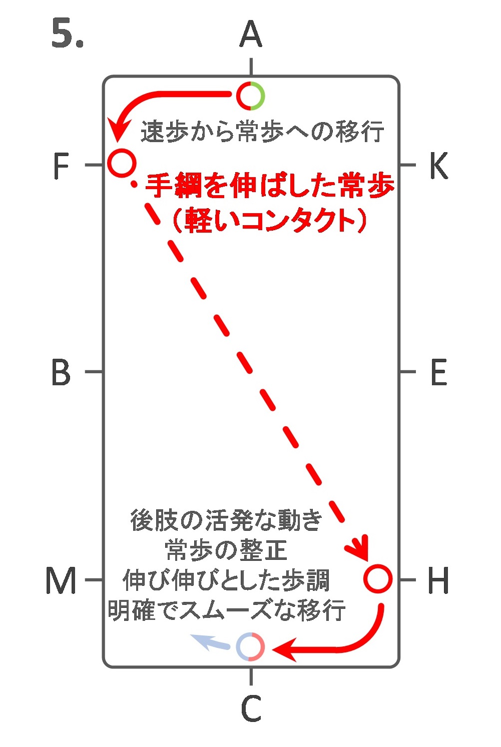 Jef 馬場馬術競技 課目 13 詳説 その日暮らし研究者のあれこれ