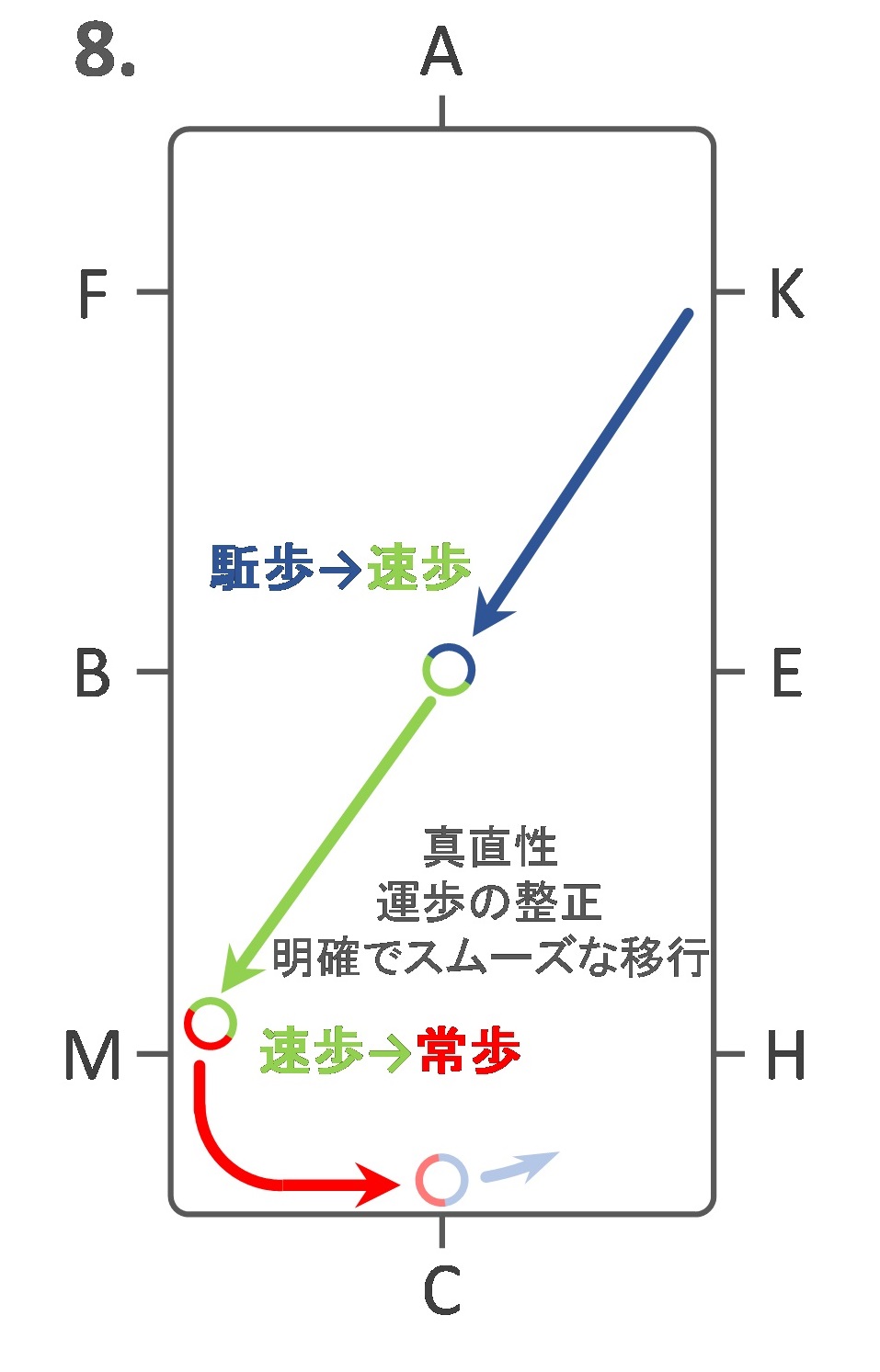 Jef 馬場馬術競技 課目 13 詳説 その日暮らし研究者のあれこれ