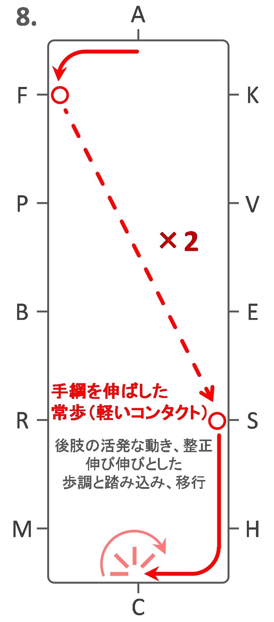 Jef 馬場馬術競技 L1課目 13 その日暮らし研究者のあれこれ