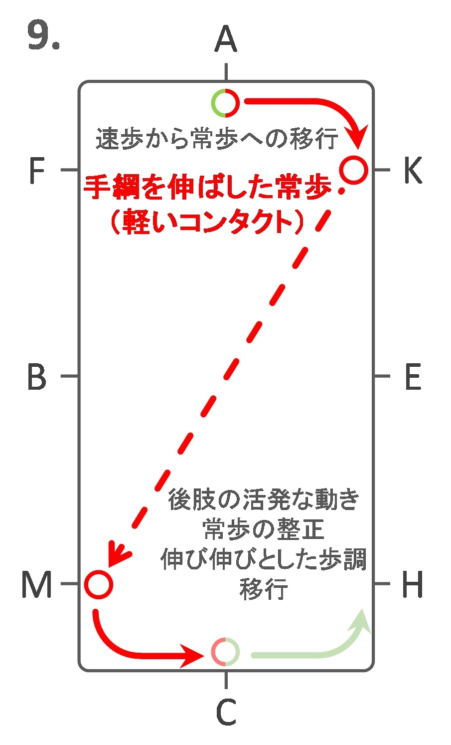 Jef 馬場馬術競技 A1課目 13 詳説 その日暮らし研究者のあれこれ